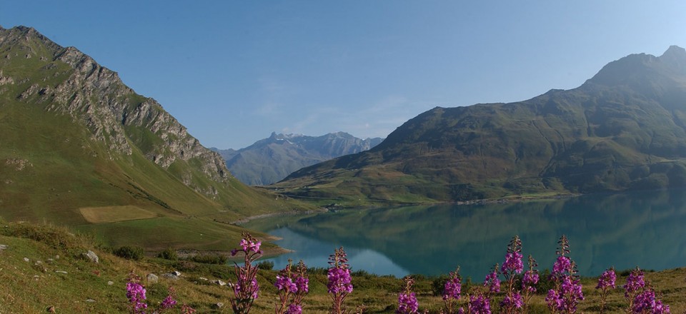 The Alps in summer